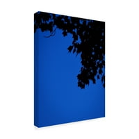 סימן מסחרי אמנות 'צללית מייפל כחולה' אמנות קנבס מאת ברנדה פטרלה צילום LLC