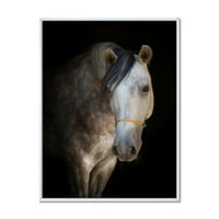 עיצוב 'מקרוב דיוקן דיוקן של סוס לבן' בית חווה ממוסגר הדפס אמנות קיר קיר