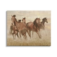 Stupell Indtries Wild Horse Stampede שדה קאנטרי חום מונוכרומטי, 24, עיצוב מאת מארק פריים