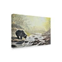 סימן מסחרי אמנות 'דוב שחור בזרם' אמנות קנבס מאת D Rusty Rusty