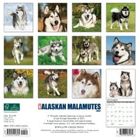 Willow Creek Press Just Alaskan Malamutes Calendar