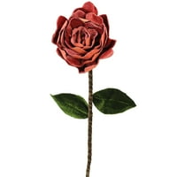 20 חלוד ורד קטיפה גזע ריסוס פרחים